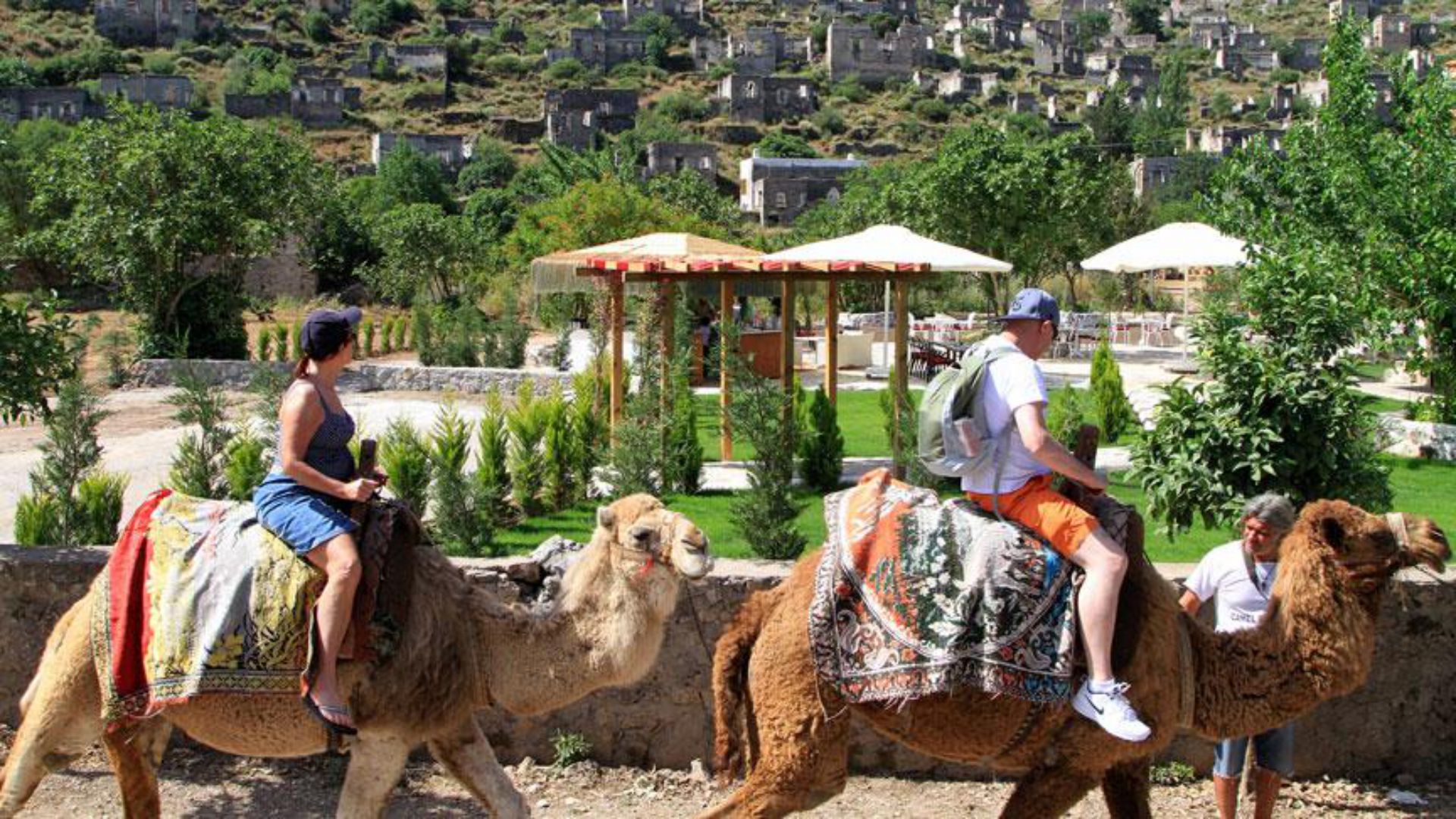 Fethiye Camel Riding