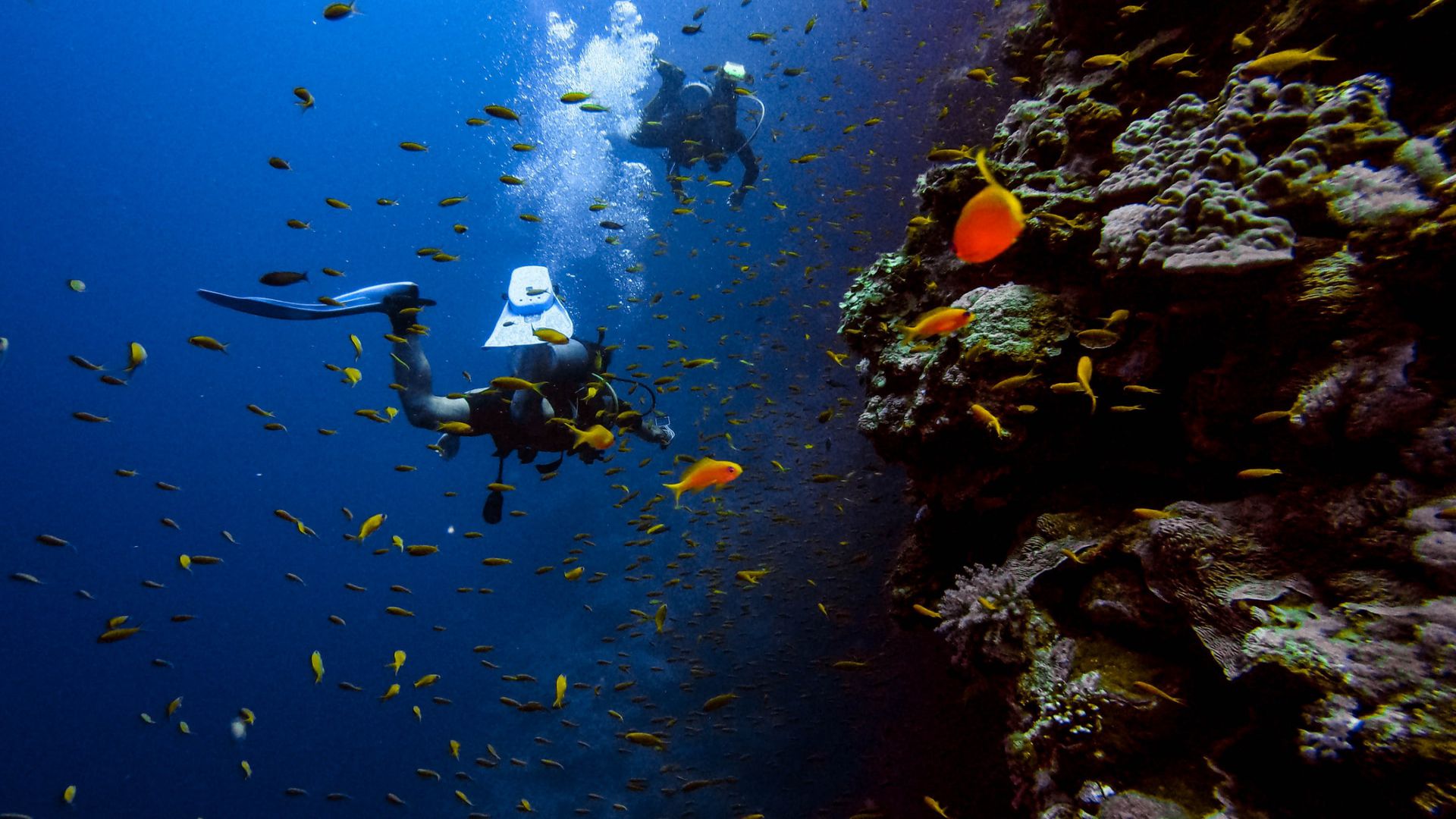 Scuba Diving Fethiye