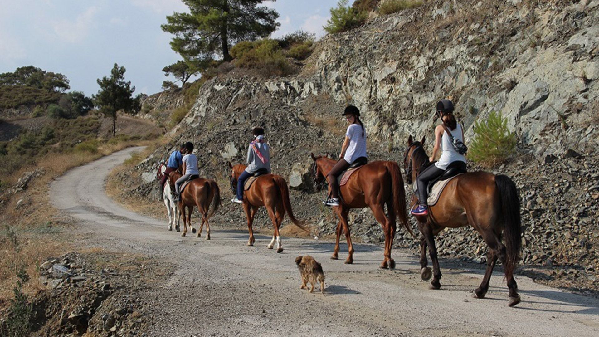 Fethiye Horse Riding Tours